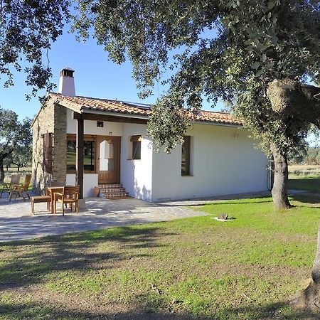 Finca Las Abubillas Jaraicejo Oda fotoğraf