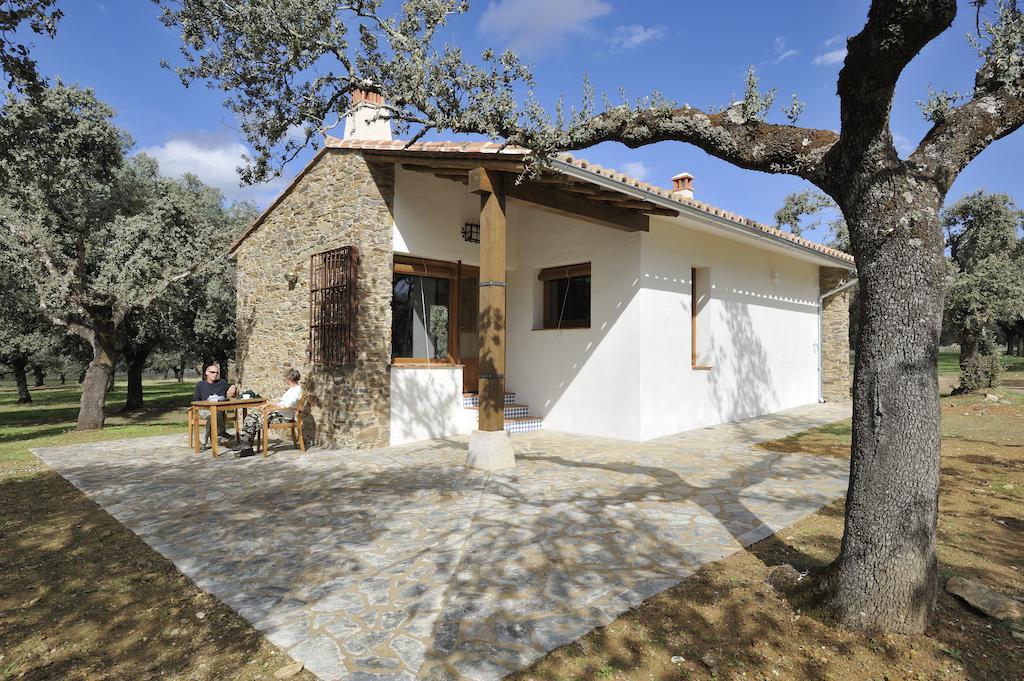 Finca Las Abubillas Jaraicejo Oda fotoğraf