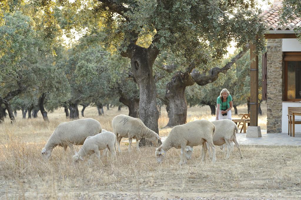 Finca Las Abubillas Jaraicejo Dış mekan fotoğraf
